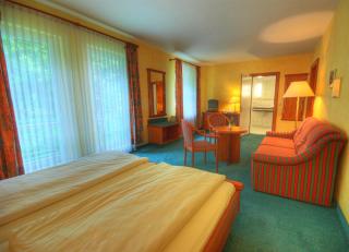 Meister BÄR HOTEL Vogtland - Reichenbach im Vogtland - 2