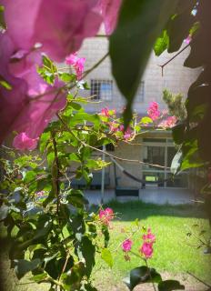 דירת גן מרווחת במיקום מעולה עם נטפליקס חינמי - 6