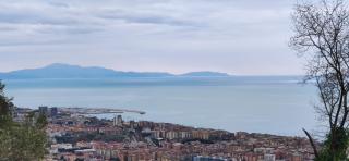 Verde Smeraldo - Salerno - 7