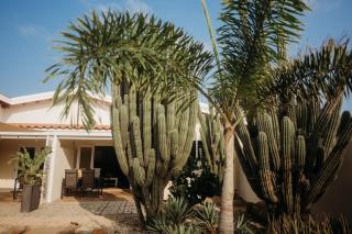 Pura Vida Aruba appartement Papaya - Noord - 4