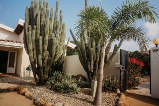 Pura Vida Aruba appartement Papaya - 2