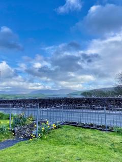 The Star Inn - Dingle - 0