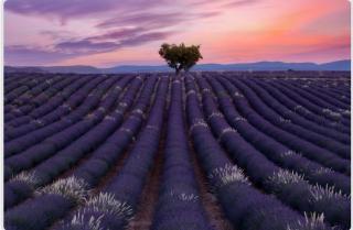 Villa du Chêne Vert Villeneuve les Avignon Tout confort wifi,clim - 2