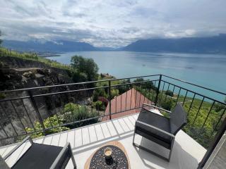 The Nest Lavaux - Saint-Saphorin - 3