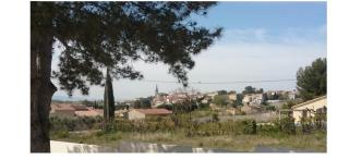 La Sarriette Provençale - Caumont-sur-Durance - 1