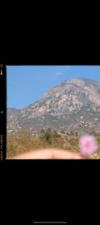 Homestay Near Nandi, Muddenahalli - 7