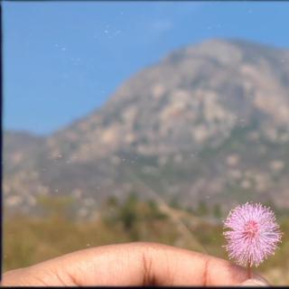 Homestay Near Nandi, Muddenahalli - 6