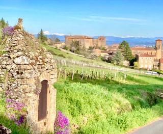 L'instant Beaujolais Logis cosy avec balnéo - Theizé - 3