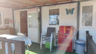 L'île aux Papillons - 2