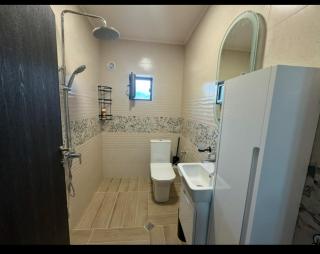 Kamberovi house Kalofer Къща Камберови Калофер - Kalofer - 4