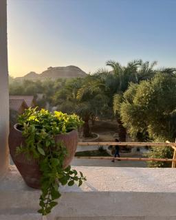 Meddur Siwa Oasis - Siwa - 1
