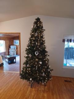 Raskie&Rootamus Backyard Retreat - 0