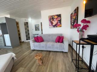 PENTHOUSE 10 MIN port croisière et aéroport - Pointe-à-Pitre - 4