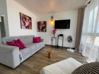 PENTHOUSE 10 MIN port croisière et aéroport - Pointe-à-Pitre - 6