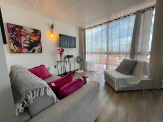 PENTHOUSE 10 MIN port croisière et aéroport - Pointe-à-Pitre - 8