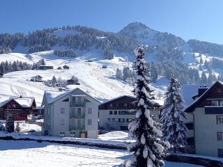 Hüslermatte 1 - Oberiberg - 9