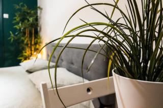 Elegant Urban Studio - Heart of Calea Victoriei - Bucharest - 6