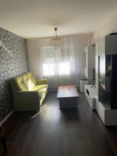 Newly renovated chic apartment close to downtown - Satu Mare - 7