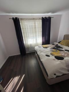 Newly renovated chic apartment close to downtown - Satu Mare - 3