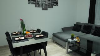 Ferienwohnung - modernes Heim Li-Apartments - Pforzheim - 5