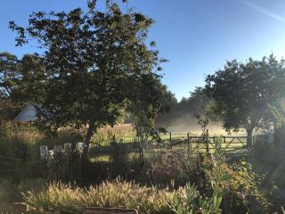 BnB de Jutter - Burgh Haamstede - 7