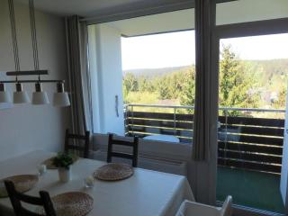 Neu Renovierte Fewo Ausblick Nahe Saune Therme - Altenau - 8