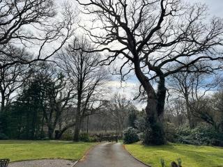 Little Luckford - 5