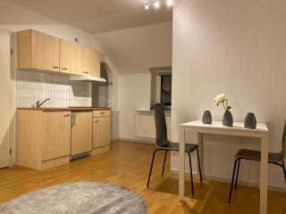Simple studio near Kirchberg - Lussemburgo - 6