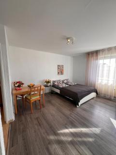 Modern flat DE -CH- Airport -Parking - Huningue - 0