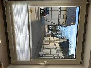 Ferienwohnung auf Pferdehof - 1