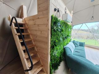 Little River Glamping - 2