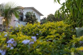 AamraKunj Gir Resort - 3