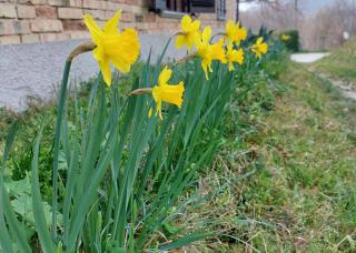 L'officina di Leo - Monolocale con giardino - Cagli - 5