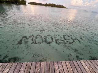 Beach de rêve de moorea - Hauru - 4