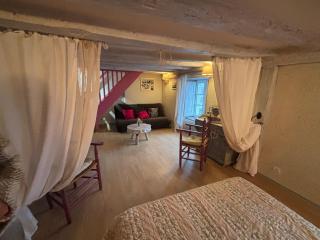 Gîte de La Toue de Loire - Chaumont-sur-Loire - 8