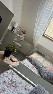 Apartmán Nová Bystřice - Jindřichŭv Hradec - 7