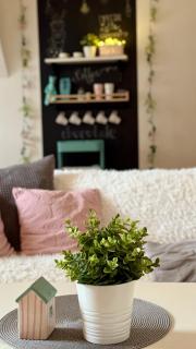 Apartmán Nová Bystřice - Jindřichŭv Hradec - 2