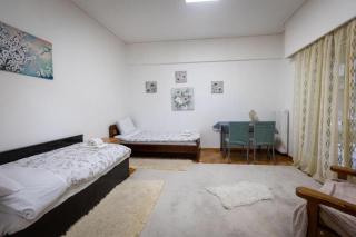 Spacious Apartment 2 minutes from Omonoia Metro - Athens - 9