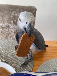 Modern Oasis , Edinburgh Airport near,8mi - 3