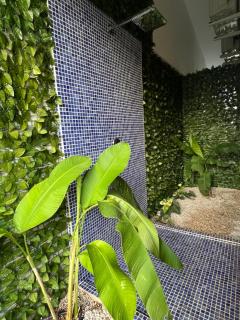 Exotica tamarindo - Tamarindo - 1