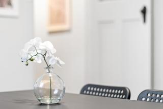 Detached Queen Room - Nearby Shops & Eateries - Shared Bathroom - 7