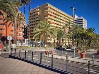 Home Place - Puerto de la Cruz - 2