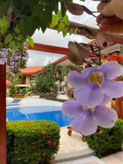 Jaco Hideaway Oasis - Jacó - 5