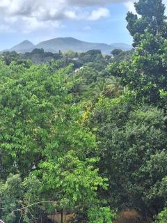 Lavillaporal - Lamentin - 1