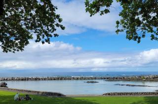 Yonegan Plumeria Hilo Hotel - Hilo - 1