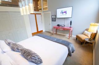 Trendy Modern Loft in Rino Art District - 6