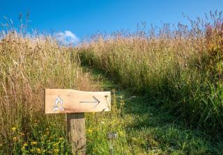 Lower Saddle Views by Tiny Away - - 3