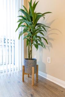Marina del Rey 1bdr Retreat with pool, gym, free parking - Los Angeles - 8