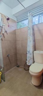Rohana Estate Lodging & Camping - Kandy - 9