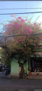 Tổ Ấm Nhỏ Staycation - Migration Season - 9